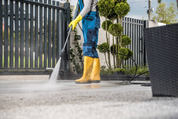 Best Dumpster Area Cleaning  in Plymouth, MI
